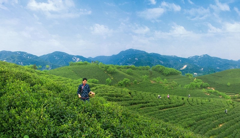 景点：南湾湖